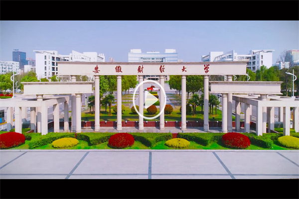 年销量锐减348万台,归母净利腰斩!电动车“一哥”怎么了?
