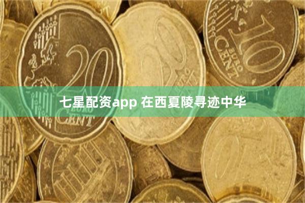 七星配资app 在西夏陵寻迹中华