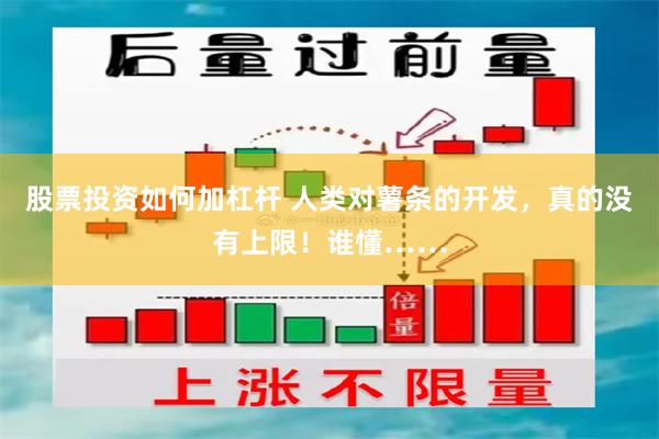股票投资如何加杠杆 人类对薯条的开发，真的没有上限！谁懂……
