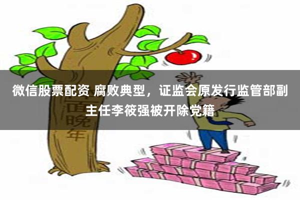 微信股票配资 腐败典型，证监会原发行监管部副主任李筱强被开除党籍