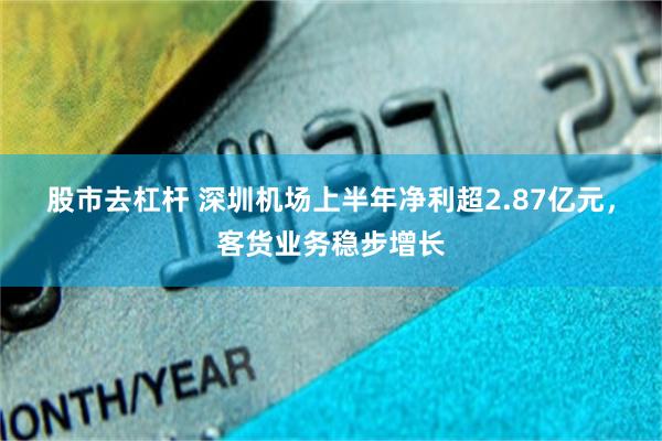 股市去杠杆 深圳机场上半年净利超2.87亿元，客货业务稳步增长