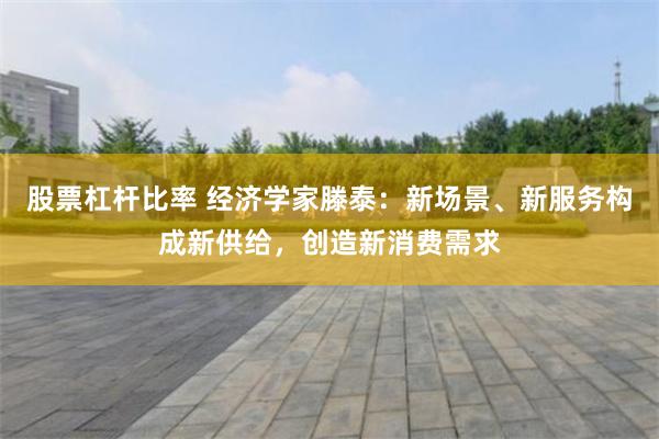 股票杠杆比率 经济学家滕泰：新场景、新服务构成新供给，创造新消费需求