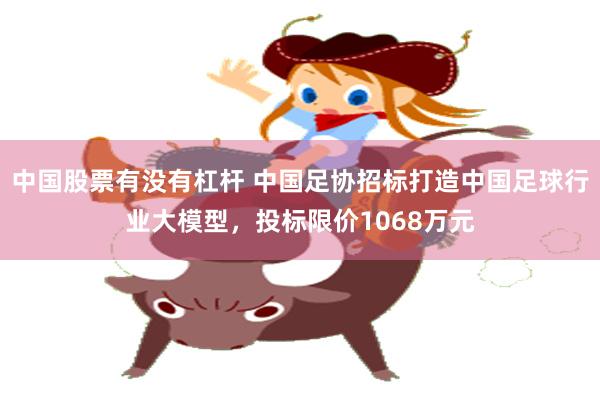 中国股票有没有杠杆 中国足协招标打造中国足球行业大模型，投标限价1068万元