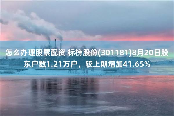 怎么办理股票配资 标榜股份(301181)8月20日股东户数1.21万户，较上期增加41.65%