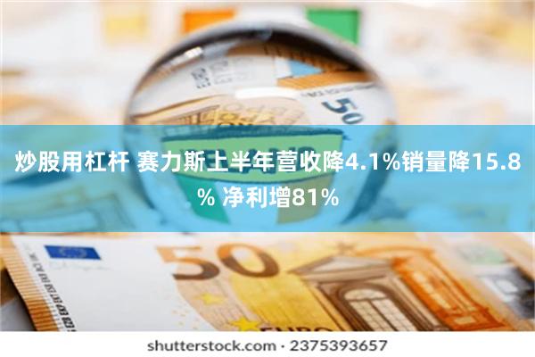 炒股用杠杆 赛力斯上半年营收降4.1%销量降15.8% 净利增81%