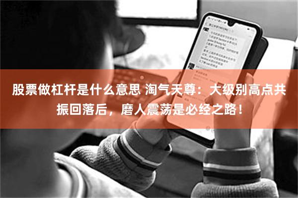 股票做杠杆是什么意思 淘气天尊：大级别高点共振回落后，磨人震荡是必经之路！