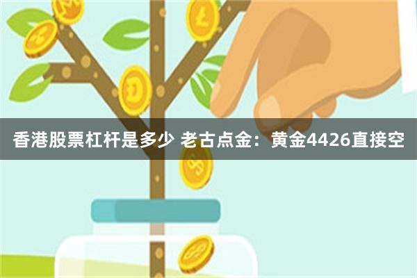 香港股票杠杆是多少 老古点金：黄金4426直接空