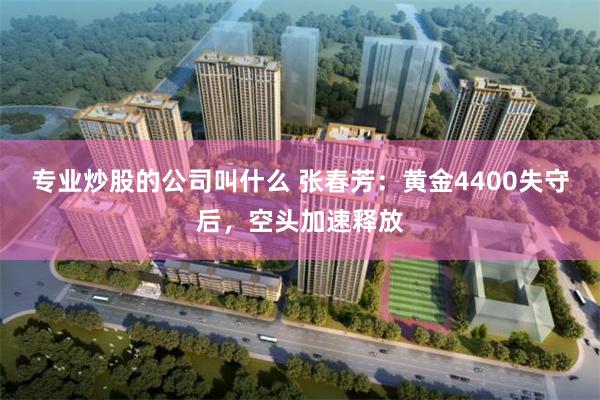 专业炒股的公司叫什么 张春芳：黄金4400失守后，空头加速释放