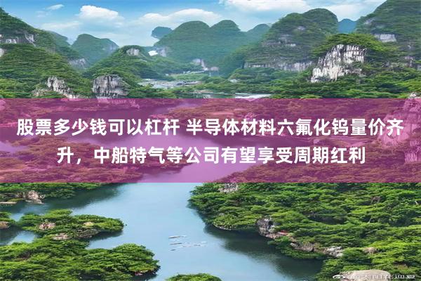 股票多少钱可以杠杆 半导体材料六氟化钨量价齐升，中船特气等公司有望享受周期红利