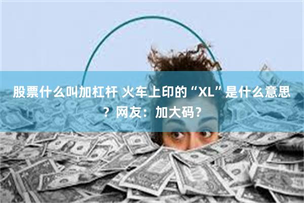 股票什么叫加杠杆 火车上印的“XL”是什么意思？网友：加大码？