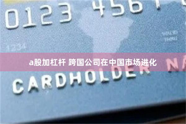 a股加杠杆 跨国公司在中国市场进化