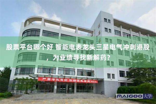 股票平台哪个好 智能电表龙头三星电气冲刺港股，为业绩寻找新解药？