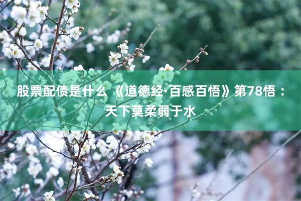 股票配债是什么 《道德经·百感百悟》第78悟 ：天下莫柔弱于水