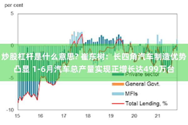 炒股杠杆是什么意思? 崔东树：长四角汽车制造优势凸显 1-6月汽车总产量实现正增长达499万台