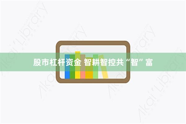 股市杠杆资金 智耕智控共“智”富