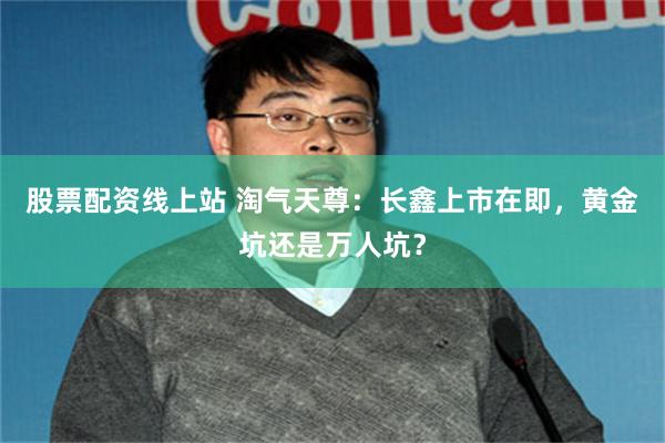 股票配资线上站 淘气天尊：长鑫上市在即，黄金坑还是万人坑？