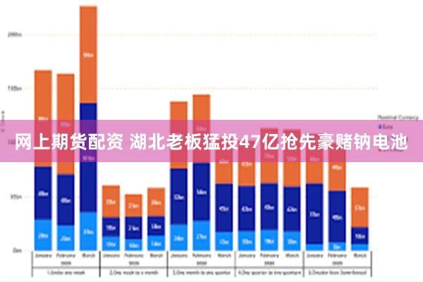 网上期货配资 湖北老板猛投47亿抢先豪赌钠电池