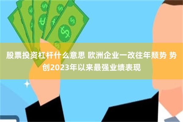 股票投资杠杆什么意思 欧洲企业一改往年颓势 势创2023年以来最强业绩表现